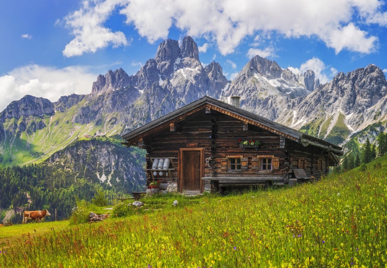 Chalet in Bagergue - Chalet Mont Blanc